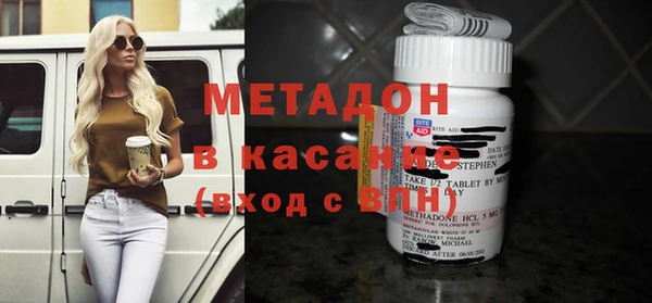 прущие грибы Аркадак