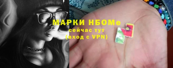 прущие грибы Баксан