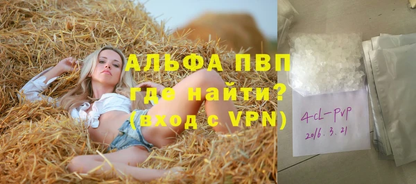 прущие грибы Аркадак