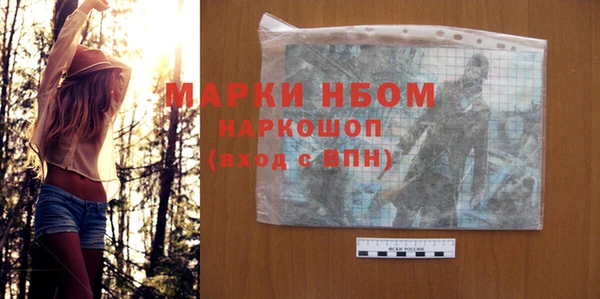прущие грибы Баксан