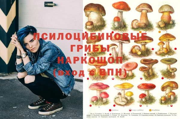 ГАЛЛЮЦИНОГЕННЫЕ ГРИБЫ Балабаново