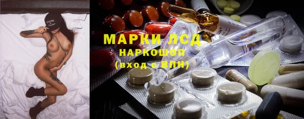 прущие грибы Аркадак