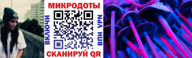 где найти Пенза Псилоцибиновые грибы Cubensis